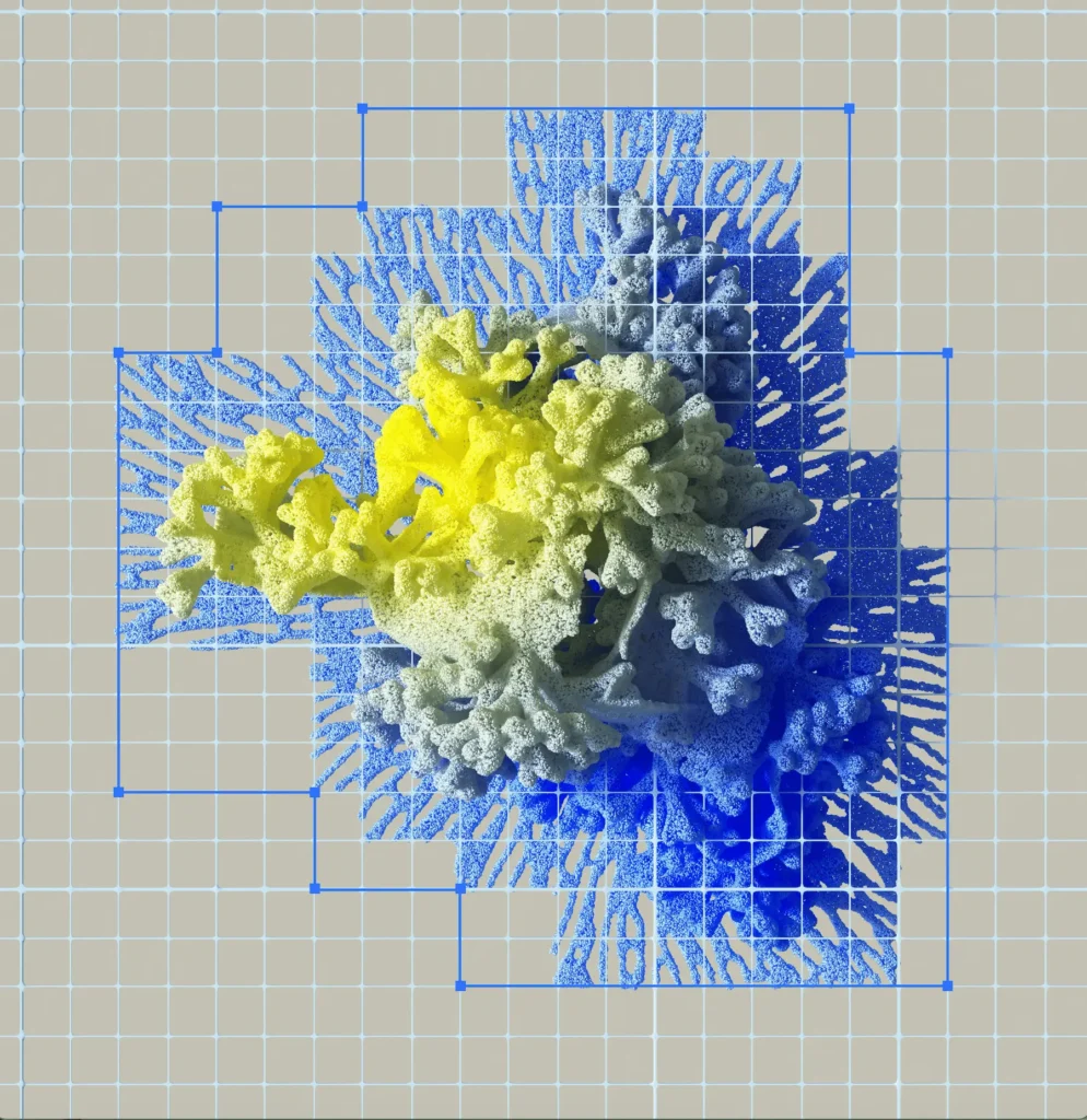 rmdigits cover